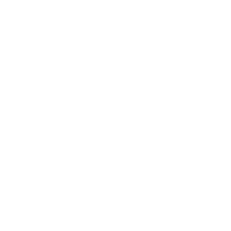 Ícone Coordenador Diocesano