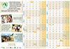 calendario-grande-web