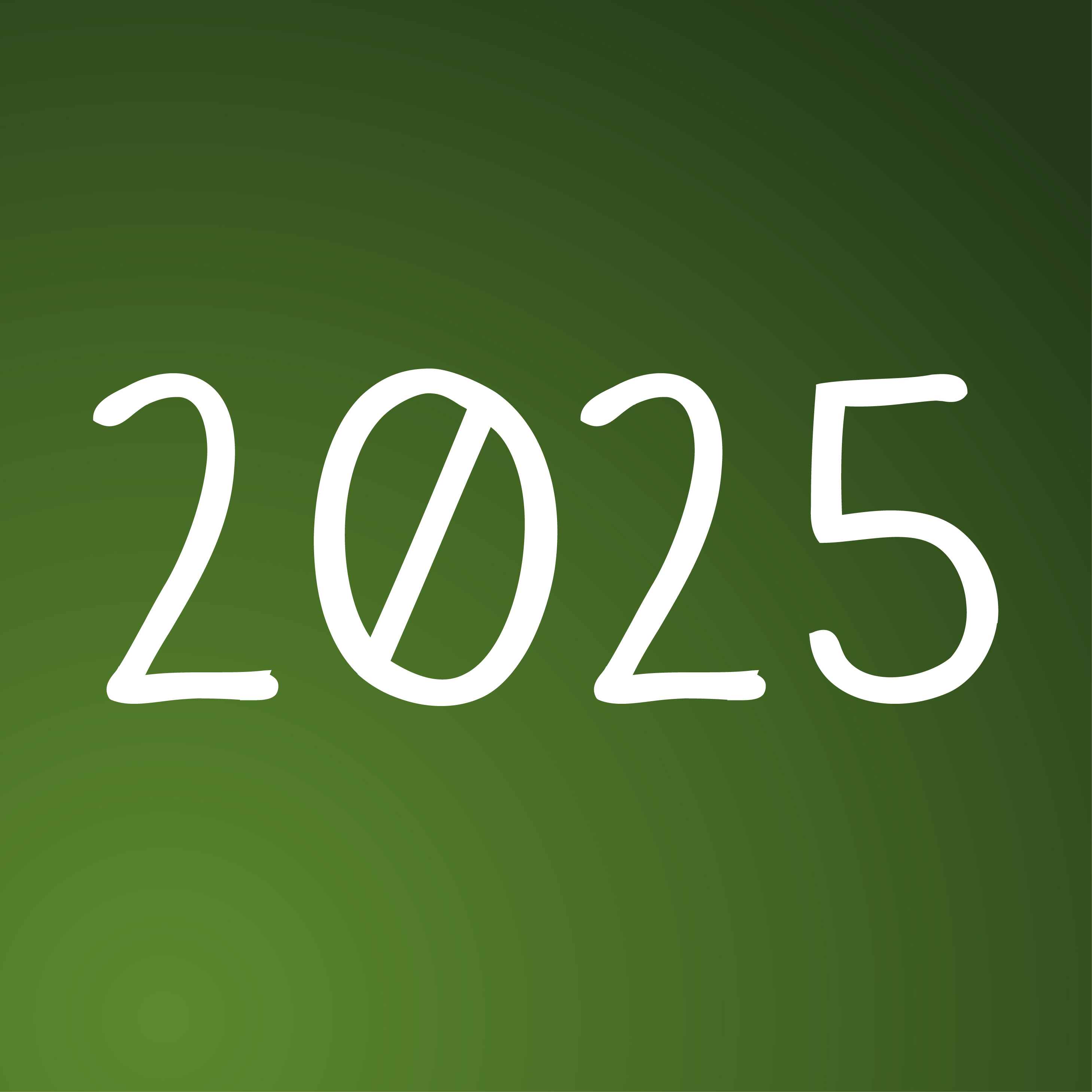 Programa de Rádio - 2025