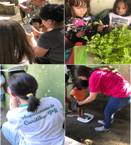 VoluntariosResultado