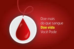 1451 caridade solidariedade url