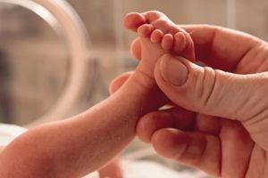 1729 url dia mundial da prematuridade