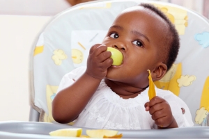 1796 introducao alimentar url