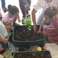 Hortas caseiras, urbanas e agricultura familiar