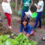 As hortas podem promover a alimentação saudável na família e na comunidade