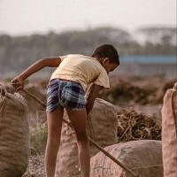 Trabalho Infantil