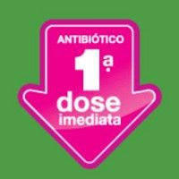 Antibiótico: primeira dose imediata