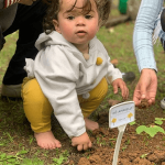 A visita domiciliar é importante para o Desenvolvimento Infantil